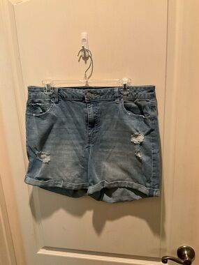 d. jeans Light Blue Distressed Roll-Hem Jean Shorts